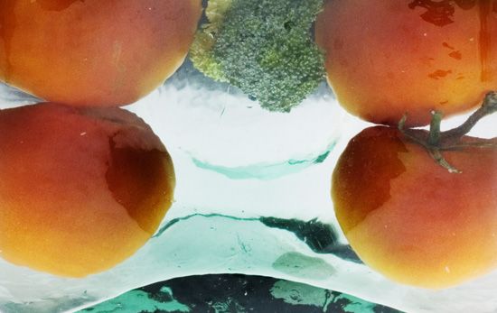 autor: paulo rodrigues
t&iacute;tulo: strange tomatoes